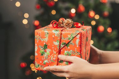 Süslü bir Noel ağacının arka planında hazır bulunmakta.