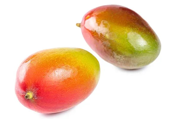 Two Fresh Whole Mangoes White Background — Foto de Stock