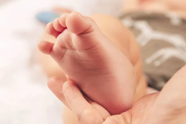 Материнская Заботливая Рука Любовью Держит Ноги Своего Малыша — стоковое фото
