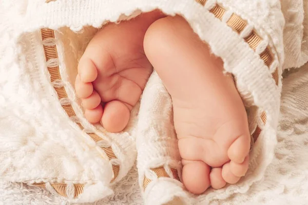 Close view of baby\'s feet in a white cloth