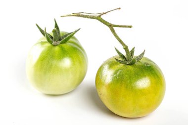 Two fresh green tomatoes with a branch