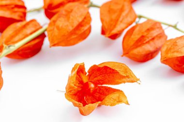 Kapatın, kiraz ya da bitki özü açın.