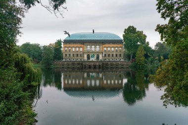 Modern art museum in Dsseldorf with seagull flying in front of it