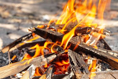 A fire burns with firewood
