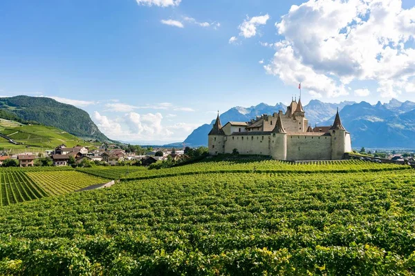 Beautiful Medieval Swiss Castle Surrounded Green Grapes — Fotografia de Stock