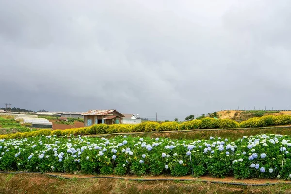 İsviçre çakısı beyaz arka plan