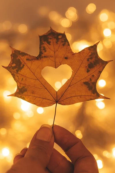 Beautiful bright autumn background with a maple leaf in a woman'