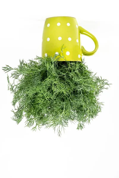 Frischer Dill Einer Grünen Tasse Auf Weißem Hintergrund — Stockfoto