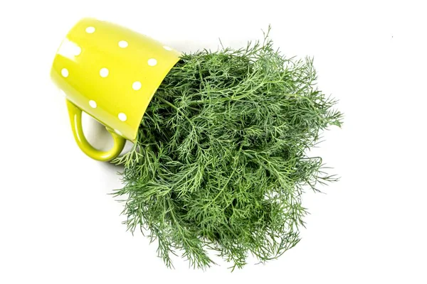 Grüne Tasse Auf Weißem Hintergrund Mit Frischem Dill Draufsicht — Stockfoto