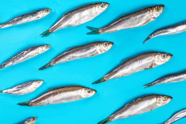 Top view, small fish on a blue background