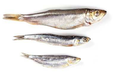 Beyaz arka planda ringa, hamsa ve tulka