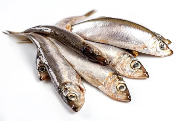 Sprat Kryddig Saltning Vit Bakgrund — Stockfoto