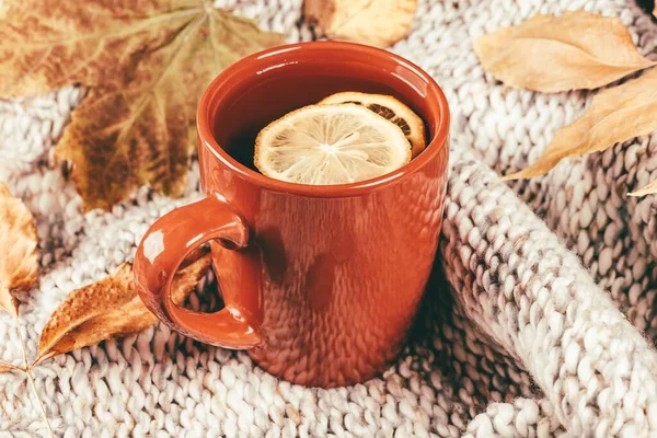 A cup of tea with slices of lemon on a knitted fabric and dry le