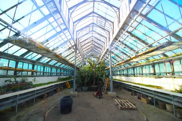 Abandoned Greenhouse Interior Glass — ストック写真