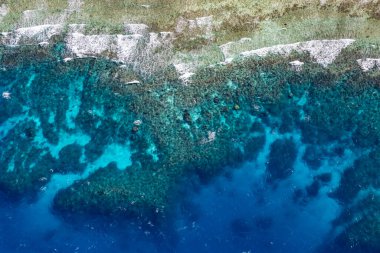 Great Barrier Reef - aerial view of the coral reef with the sea and the ocean