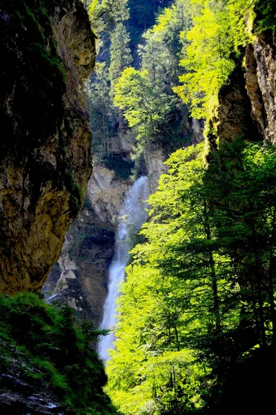 Cascada Los Alpes Austríacos —  Fotos de Stock