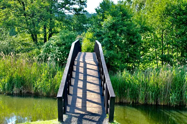 Puente Madera Sobre Río Paisaje —  Fotos de Stock