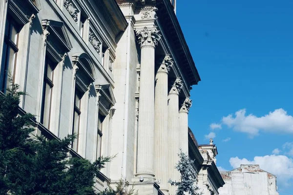 ÇALIŞANLARLA BİR Binanın Yüzü. ŞEHRİN CENNETİ.