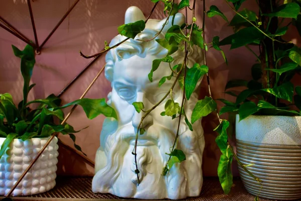 Hayranlık uyandıran bir kişinin kadrosu. PLANLAR için farklı tencere tipi.