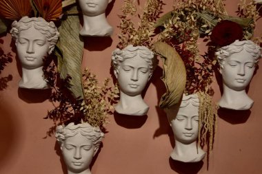 Pembe çiçek açacağım. Farklı çömlek. KADININ SÜPÜRÜĞÜ.