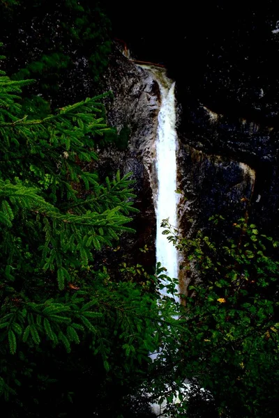 Chute Eau Quiète Des Alpes Autrichiennes — Photo