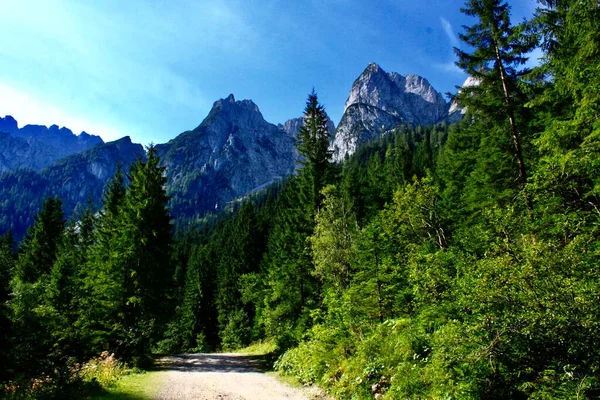 Naturaleza Los Alps Austrianos — Foto de Stock