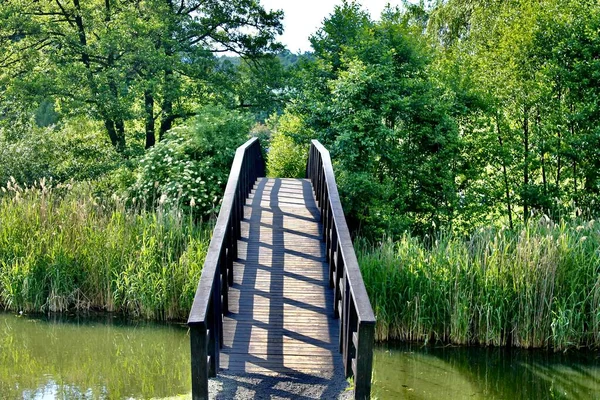 Wooden Bridge Über Dem River Die Natur — Stockfoto