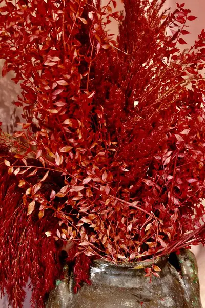 Kırmızı Gidiyor. Kırmızı Gidiyor. Doğanın kanunu. ÇİÇEKİM.