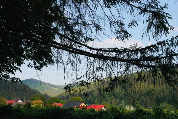 Naturaleza Paisaje Verde Tiempo Relación — Foto de Stock