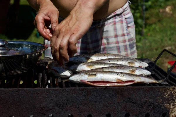 Grillad Fisk Grillen — Stockfoto