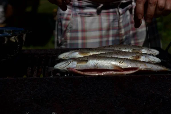 グリルで焼き魚 — ストック写真