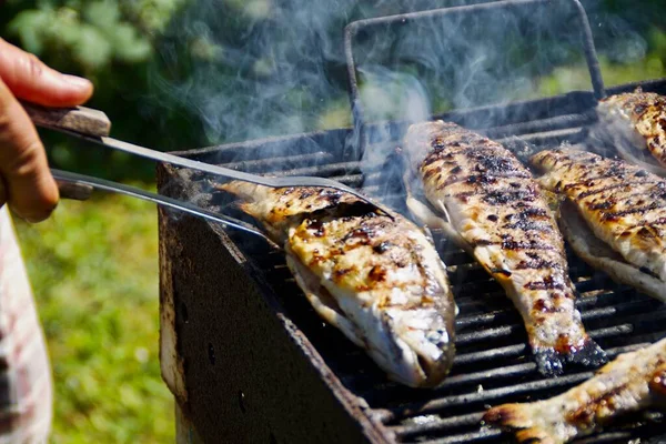 Izgarada kızarmış balık.