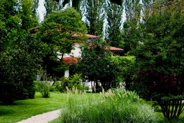 Villa Rêve Avec Étage Milieu Jardin Botanique Nature — Photo