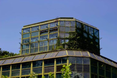 Çevrilmiş ve çiçek açmış, botanik bahçeler. DOĞLU.