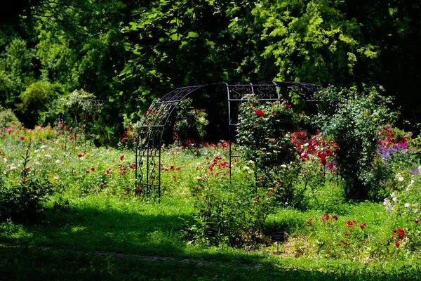Giardino Botanico Invertito Fiori Natura — Foto Stock