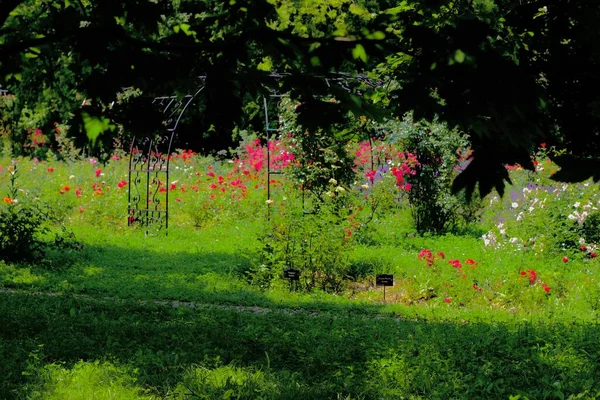 Botanischer Garten Invertiert Und Flummeriert Die Natur — Stockfoto