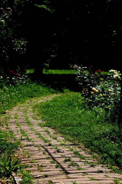 Zinwerzony Kwiatowy Botaniczny Garden Przyjmuje — Zdjęcie stockowe