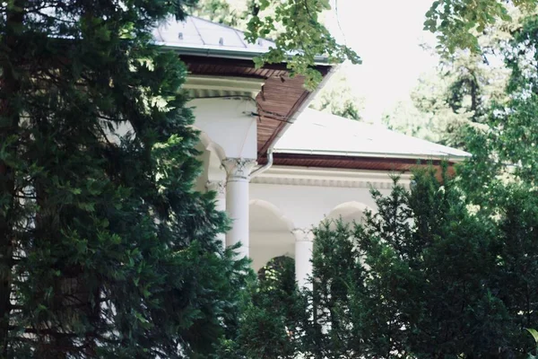 BARKİKETÜRLİ EVLERİ, VILLAR, DELLİNLER İSTİYOR. DESİJN İÇİN İÇİN.