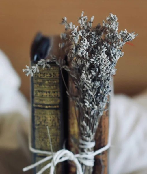 Estetik imge. YAŞIK. - Lavanta ve kitap. ELEGANT MUTU.