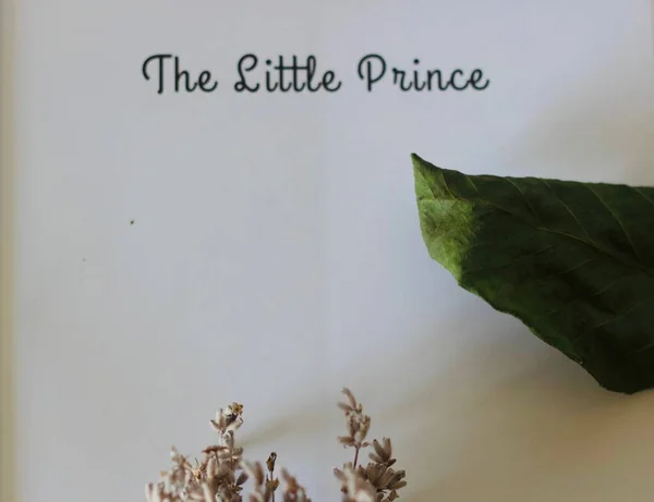 Rehberdeki ana sayfa, küçük prensesten. Meşhur bir kitap. Hobi. Estetik Görüntü.