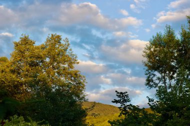 TREVEL TÜRKÇE. Yürümek için ormanın diğer tarafına..