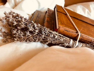 YAŞIK. Estetik bir resim mi? Sessiz bir şekilde. Aletler, dekorasyon, ışık saçan memeler, kitap. GİRİŞ.