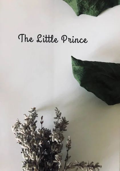 YAŞIK. Estetik bir resim mi? Sessiz bir şekilde. Aletler, dekorasyon, ışık saçan memeler, kitap. GİRİŞ.