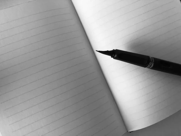 YAŞIK. Estetik bir resim mi? Sessiz bir şekilde. Aletler, dekorasyon, ışık saçan memeler, kitap. GİRİŞ.