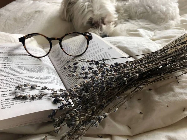 AESTHETIC PICTURE. LIFESTYLE. RELAX. BOOK. LAVENDER. GLASSES.