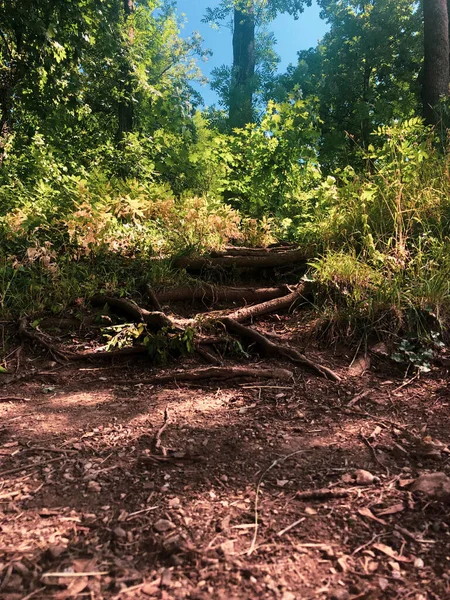 Natural Landscape Зрозумій Тобі Потрібно Травельний Центр Рурічний Евіронмент — стокове фото