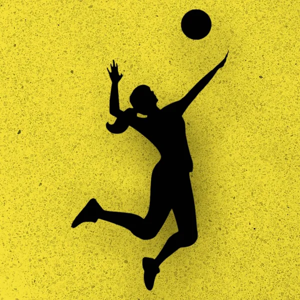 Lifestyle Time Sports Physical Activities Silhouettes Practice Different Sports Graphic — 图库照片