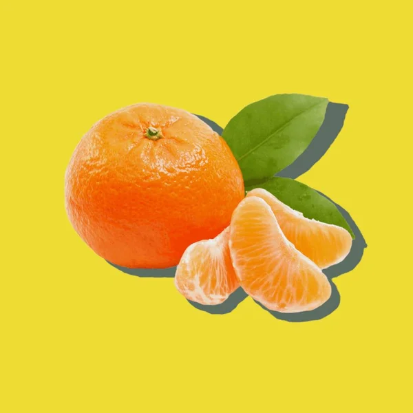 Colored Illustration Orange Different Citrus Colored Background Fruit — 图库照片