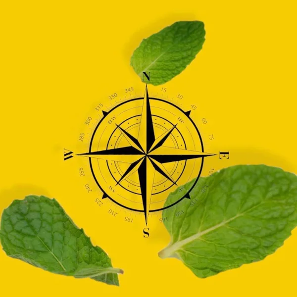 LIFESTYLE. COMPASS. NORTH. SOUTH. EAST. WEST. ABSTRACT BACKGROUND.