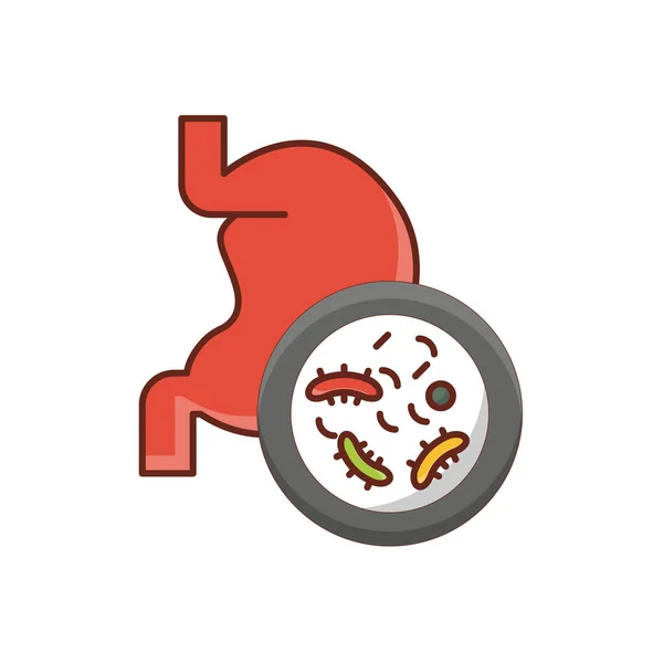 Bacterias Estomacales Ilustración Vectorial Sobre Fondo Transparente Premium Calidad Simbols — Vector de stock